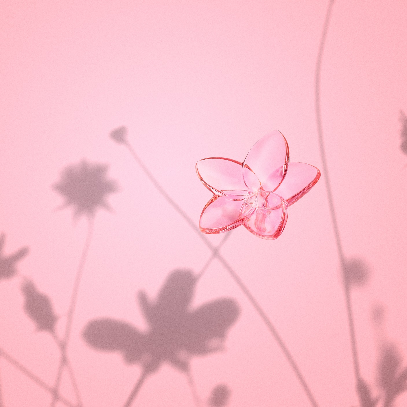 配图5- 巴卡拉绽放花朵 摆件 粉红色.jpg