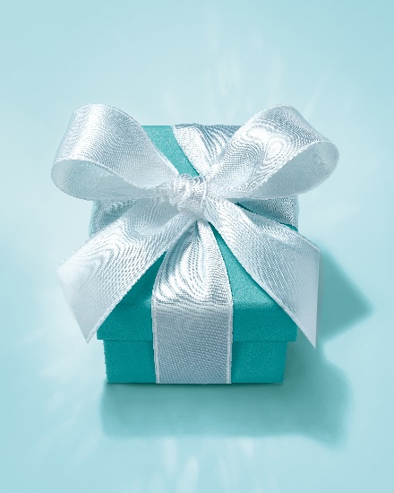 A blue box with a white bow Description automatically generated