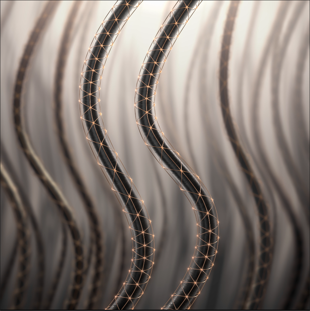 20250408092136424256.png