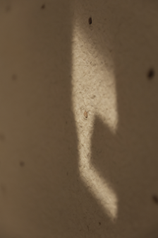 20250528272059395885.png